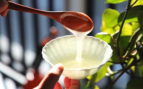 枇杷蜜