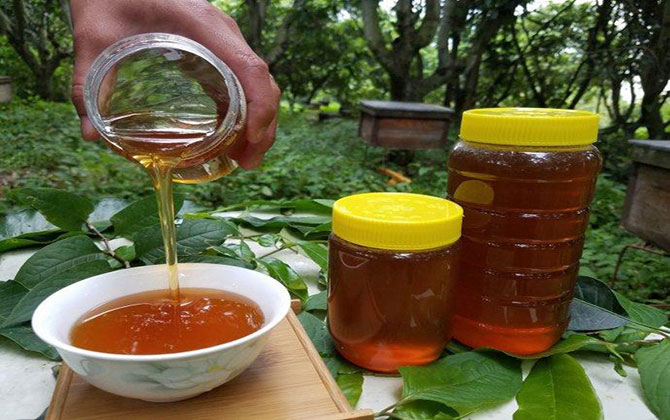 桉树蜜
